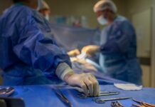 2025, un año clave para la donación y el trasplante