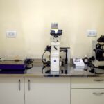 Durante 2025 la provincia registró grandes logros en materia de procuración y trasplante de órganos y tejidos 03