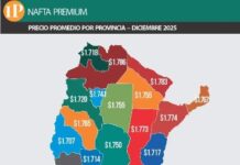 COMBUSTIBLES. El ranking del precio de la nafta en Argentina
