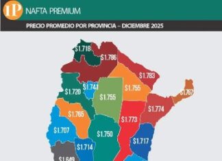 COMBUSTIBLES. El ranking del precio de la nafta en Argentina