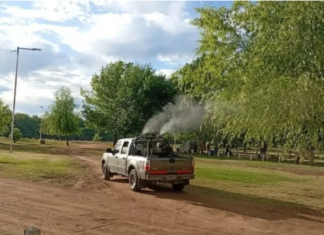 Municipalidad Continúa Campaña de Prevención del Dengue con Recolección de Cacharos y Fumigación