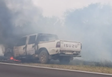 Incendio de Camioneta en Autovía 12 Provoca Quema de Pastizales en Ceibas