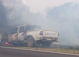 Incendio de Camioneta en Autovía 12 Provoca Quema de Pastizales en Ceibas