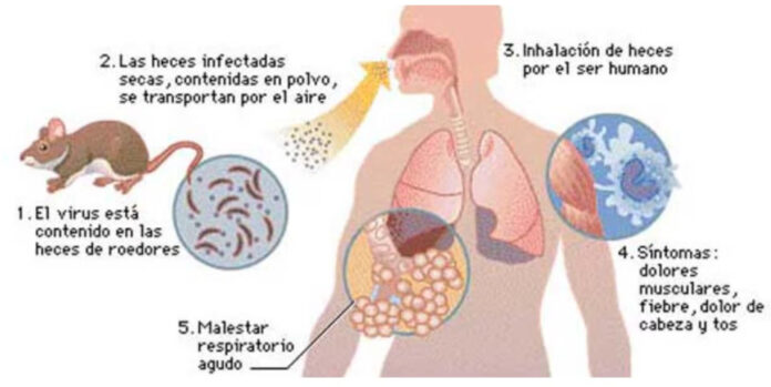 UCUERXIWIJGMXBXMEZHM6E6XSI_jpg