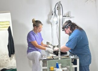 Concepción del Uruguay superó las 3.000 castraciones en lo que va de 2025