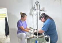 Última semana del “Castramóvil” en el barrio San Isidro