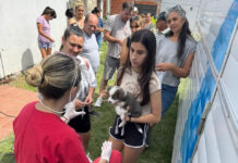 El Castramóvil cerró el año con 42 castraciones y 62 atenciones en barrio La Concepción