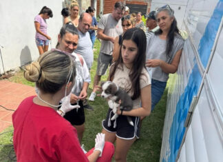 El Castramóvil cerró el año con 42 castraciones y 62 atenciones en barrio La Concepción