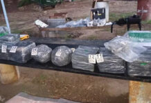 Secuestraron más de 135 kilos de marihuana arrojados desde una embarcación en el río Paraná