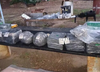Secuestraron más de 135 kilos de marihuana arrojados desde una embarcación en el río Paraná