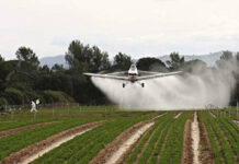 Cámara de Paraná admite amparo colectivo que busca suspender fumigaciones cerca de barrios y derogar artículos de Ley