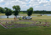 Avanza la Construcción del Laberinto con Arbustos Nativos en el Parque de la Ciudad de CdelU