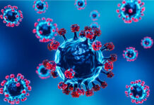 Súper gripe H3N2 ya está en Sudamérica: en Argentina recomiendan reforzar la vacunación