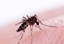 Dos casos sospechosos de dengue y hantavirus en el hospital de Concepción del Uruguay