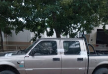 Realizaron Allanamiento en Santa Anita por Caso de Maltrato Animal con Muerte de Perro