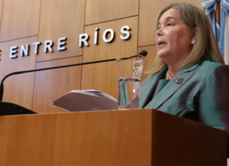 Nueva denuncia pide Juicio Político contra la Vocal del STJ Susana Medina por abandono de funciones y morosidad