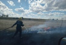 Bomberos de Colonia Elía y San Justo combatieron un incendio forestal en el acceso a Colonia Elía