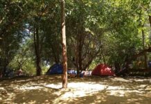 Paso Vera habilitó nuevamente el Sector Camping tras analizar el nivel del río Uruguay