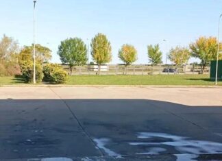 Trabajadores de la Planta de Incubación de Granja Tres Arroyos no cobraron la totalidad del aguinaldo