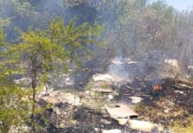 Bomberos sofocan incendio forestal en Tiro Federal y sufren agresiones verbales de vecinos