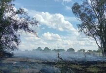 Bomberos sofocan incendio forestal en ruta Provincial 23