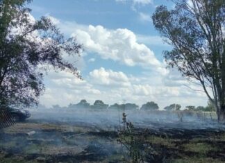 Bomberos sofocan incendio forestal en ruta Provincial 23