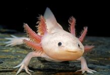 La Foto del DíaLa Foto del Día