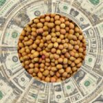 Dólar soja