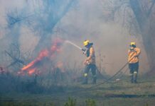 Entre Ríos envía brigadistas a combatir incendios en Chubut
