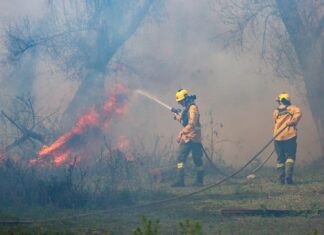 Entre Ríos envía brigadistas a combatir incendios en Chubut