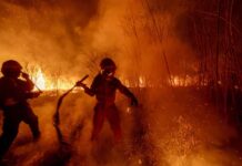 Destinan $100.000 millones para bomberos voluntarios mientras incendios arrasan Chubut