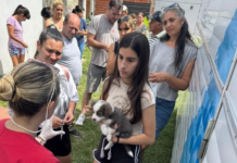 Municipio realizará operativo de salud animal con desparasitaciones y turnos para castración en barrio La Curva