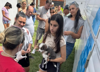 Municipio realizará operativo de salud animal con desparasitaciones y turnos para castración en barrio La Curva