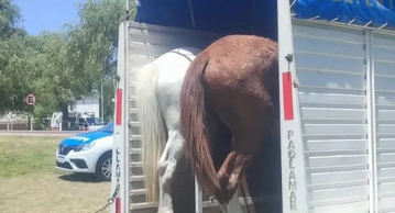 Screenshot 2026-01-28 at 09-12-13 Uruguayenses Concepción del Uruguay │ Entre Ríos