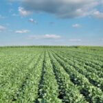 Foto para web  (1110 × 694 px)