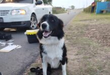 Secuestraron marihuana durante un operativo preventivo en ingreso a Chajarí