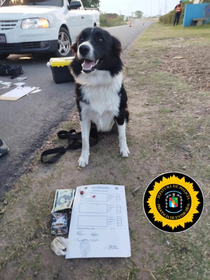 WhatsApp-Image-2026-01-24-at-21.02.491_webp_75