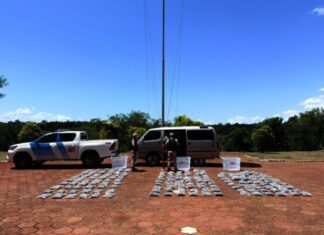 Prefectura incautó más de 110 kilos de marihuana y detuvo a un hombre en Puerto Iguazú