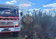 Bomberos controlaron un principio de incendio en vivienda y múltiples focos forestales en Concepción del Uruguay
