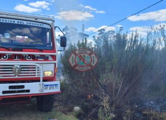 Bomberos controlaron un principio de incendio en vivienda y múltiples focos forestales en Concepción del Uruguay