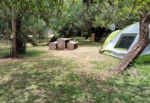 Banco Pelay vuelve a recibir a los primeros campamentistas