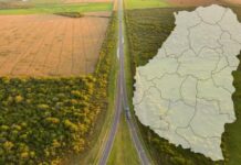 Estudio del Conicet: La Paz y Gualeguay son los Departamentos de Entre Ríos con más tierras en manos extranjeras