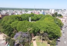 Los cimientos de la convivencia: construyendo desde lo que nos une