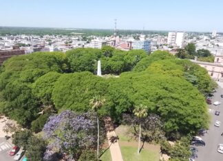 Los cimientos de la convivencia: construyendo desde lo que nos une