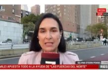 C5N despide a corresponsal Silvina Sterin Pensel por declaraciones sobre Gaza