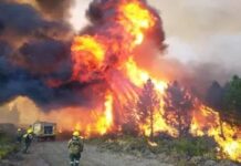 Incendios forestales se reavivan en Chubut sin medidas preventivas efectivas