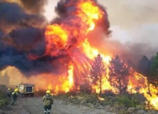 Incendios forestales se reavivan en Chubut sin medidas preventivas efectivas