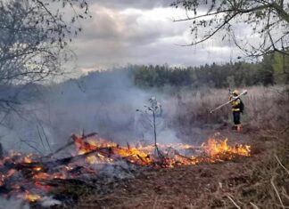Entre Ríos es la cuarta provincia con más hectáreas quemadas desde 2019, según datos oficiales