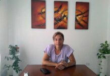 PRO espera avances por denuncia contra Walser