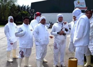 Más de 300 operarios paralizan planta de Granja Tres Arroyos por deudas salariales